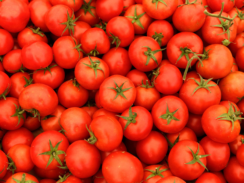 Правительство официально разрешило ввозить в Россию турецие томаты с 1 ноября