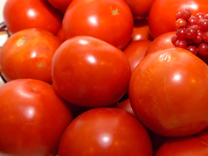 Россельхознадзор запретил ввозить в Россию помидоры, реэкспортируемые Белоруссией из стран Африки и Азии