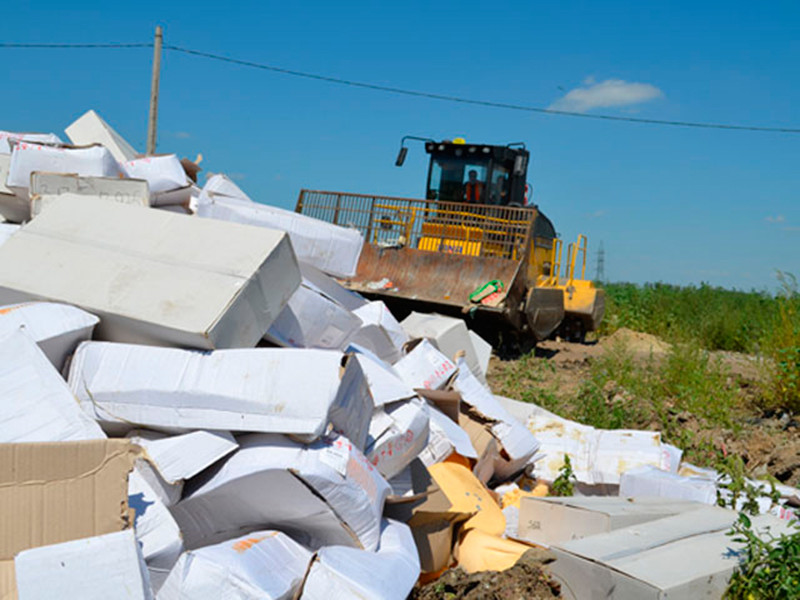 С августа 2015 года в России уничтожили 18 тыс. тонн "санкционной" еды

