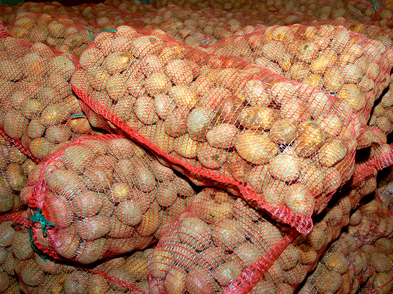 Россияне за год употребили картофеля на 25% больше нормы