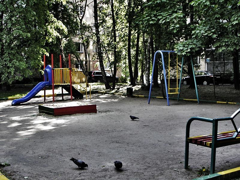 Во вторник в прессе Омской области появилась информация об избиении детей пожилыми супругами, проживающими на улице Звездова в Омске. По данному факту в среду была начата доследственная проверка