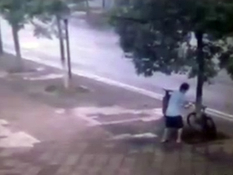 В городе Чанша провинции Хунань КНР полиция ищет вора, который не поленился повалить дерево, чтобы украсть привязанный к его стволу велосипед