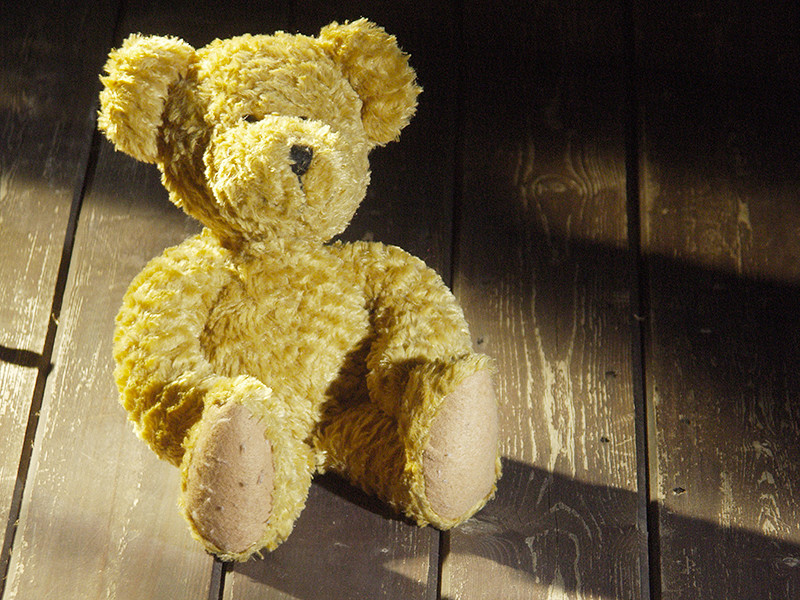 В Огайо 7-летний мальчик пытался продать плюшевого медвежонка, чтобы утолить голод
