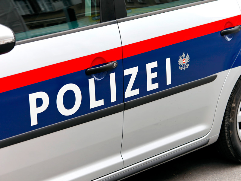 В Австрии арестованы 9 мигрантов из Ирака, подозреваемые в "новогоднем" изнасиловании туристки