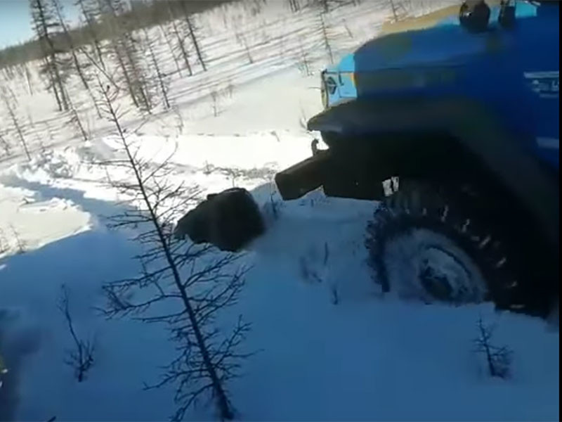 В Якутии нашли грузовики "Урал" которыми был зверски раздавлен медведь