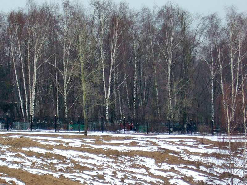 На Урале экс-сотрудника МВД, убивавшего людей на кладбище с целью создания "армии зомби", отправят на лечение