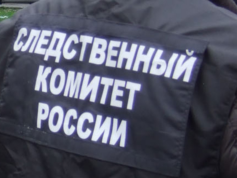 В Подмосковье СК РФ проверяет информацию об избиении 87-летней женщины-ученой

