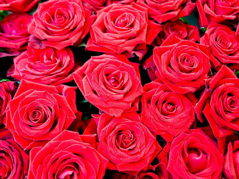 В Саратове рецидивист украл 50 роз, чтобы подарить их незнакомым женщинам к 8 марта