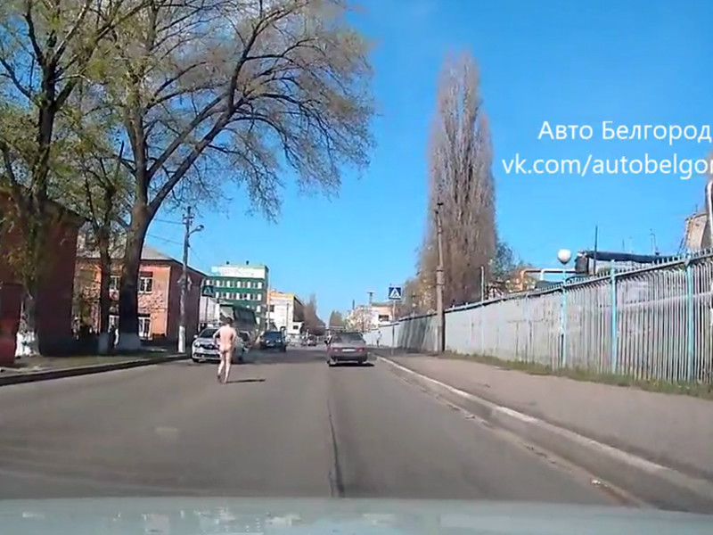 В Белгороде голый наркоман с ножом бегал по дороге и повредил 6 автомобилей