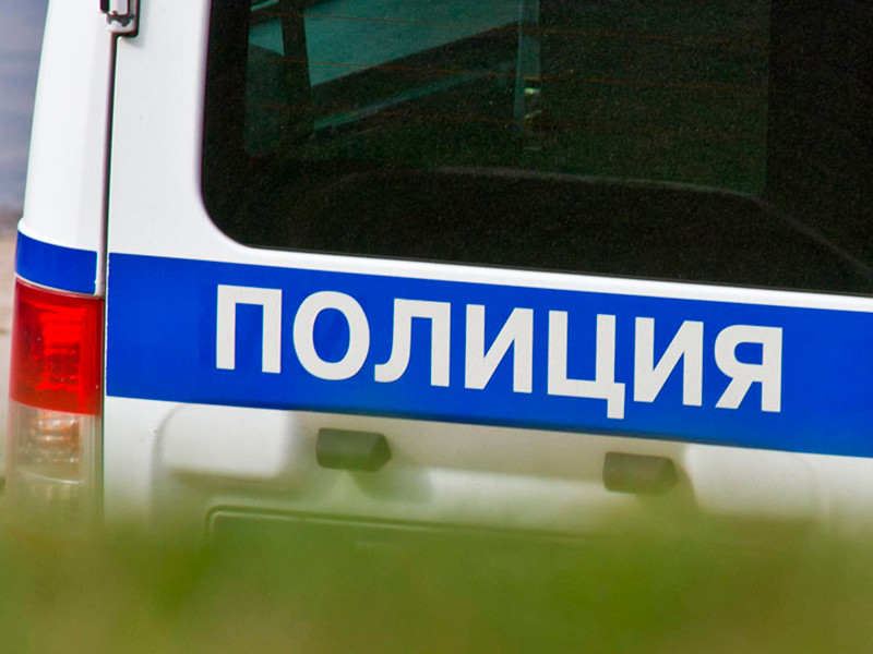 В Орловской области найдены задушенными многодетная мать и младенец, пропавшие во время автопутешествия