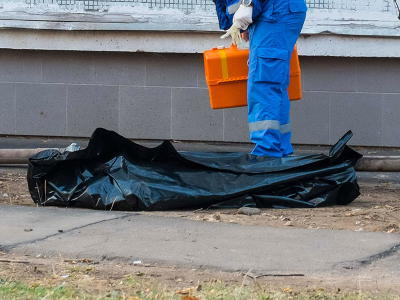 Следователи Ленинградской области проводят проверку по факту обнаружения полуразложившегося тела человека на балконе одного из домов в Сосновом Бору