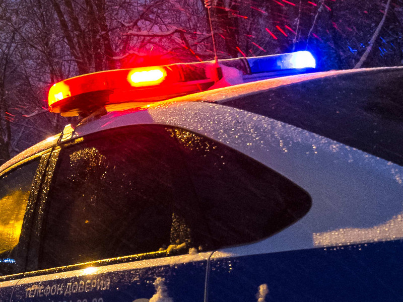 В Саратовской области полицейские спасли замерзающего угонщика от смерти
