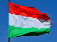 Венгрия экстрадирует россиянина, причастного к расстрелу "авторитетного" бизнесмена возле кафе в Волгограде