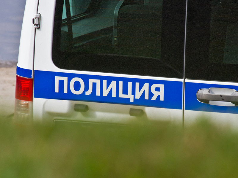 В Петербурге задержали двух 17-летних адептов АУЕ, жестоко избивших посетителей Таврического сада