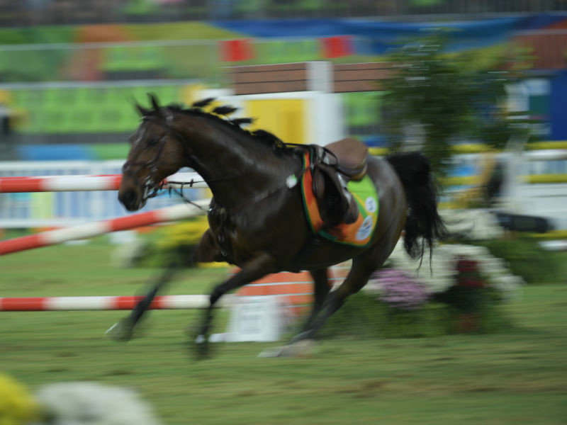 Российский всадник погиб на соревнованиях по конному спорту в Минске