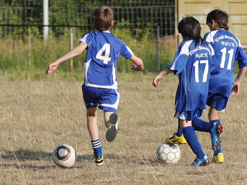 По мнению Афонина, финансовые средства должны работать на развитие массового детского и юношеского спорта
