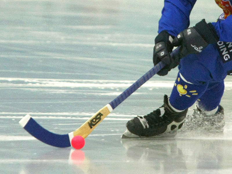 Чемпионат мира по хоккею с мячом 2019 года, который должен был пройти в Иркутске, состоится в другом городе
