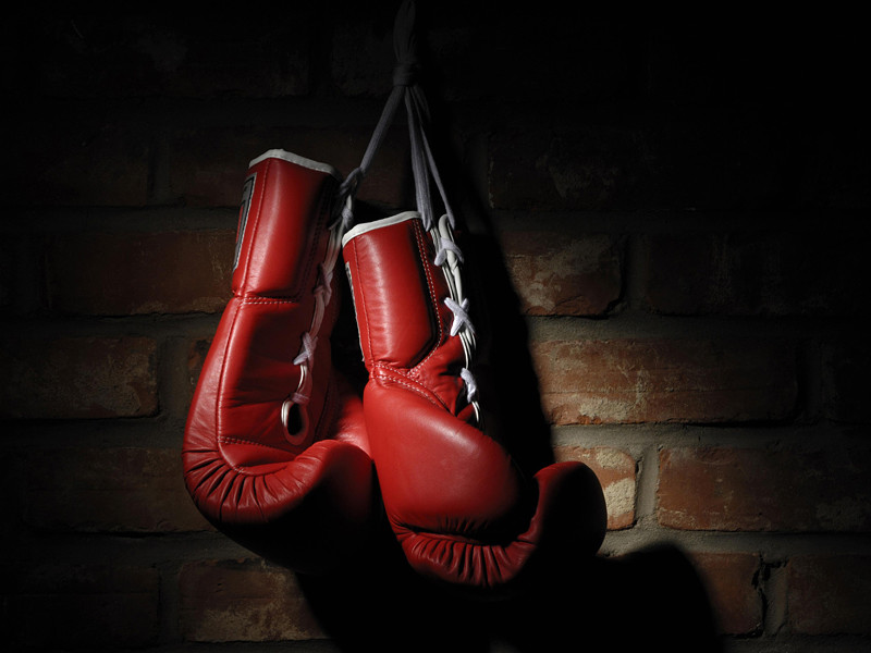 Шведское агентство по охране труда рассматривает возможность вынесения запрета на занятия профессиональным боксом в стране