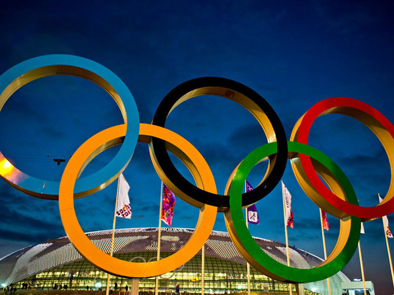 Официальные информационные ресурсы зимних Олимпийских игр 2014 года в Сочи подверглись массированным компьютерным атакам со стороны глобальной бот-сети, управлявшейся из США, Канады, Таиланда и Малайзии