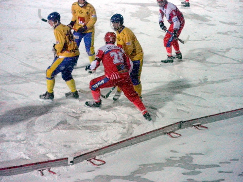 Шведы обыграли сборную России на старте чемпионата мира по хоккею с мячом
