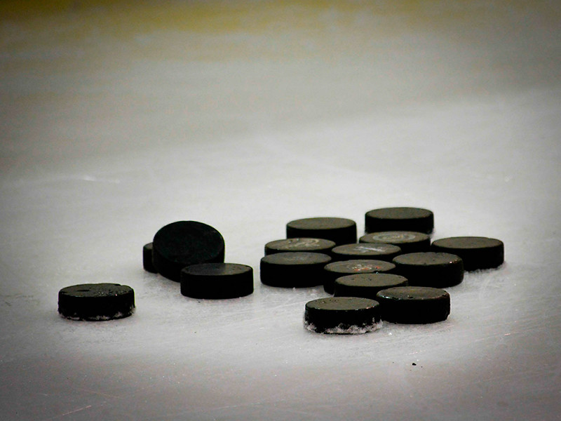 В ходе матча лиги любительского хоккея Новосибирска между командами "Драйв-2" и "Кристалл Обьгэс-2" на льду местного спорткомплекса "Фламинго" болельщики устроили потасовку с игроком одной из команд