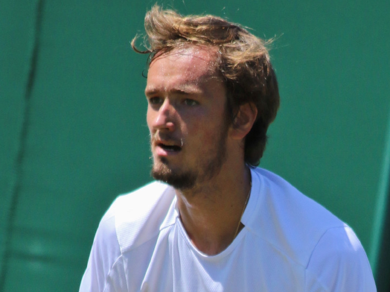 Медведев вышел в полуфинал Открытого чемпионата США по теннису