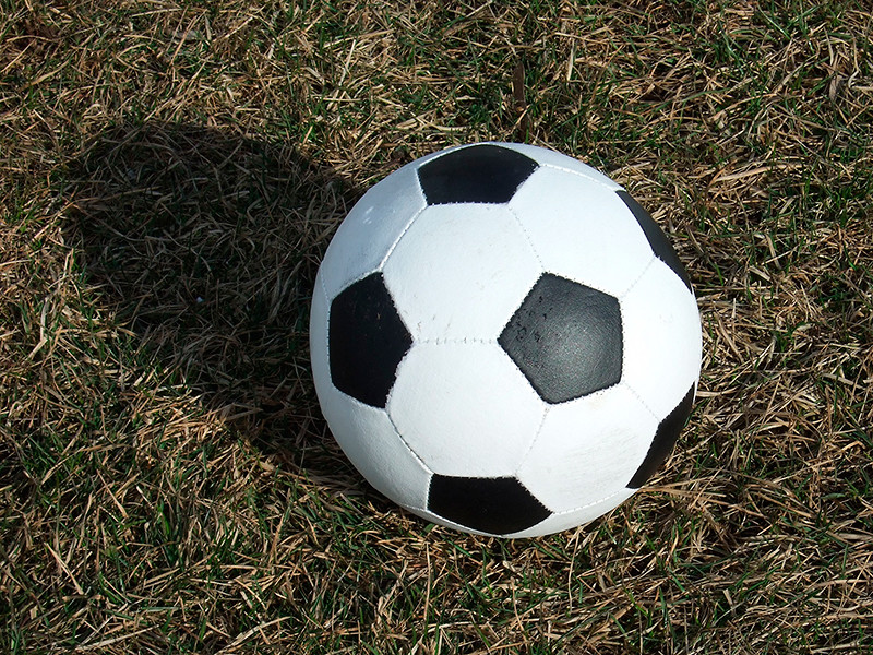 РФС займется поиском юных футбольных дарований по всему миру