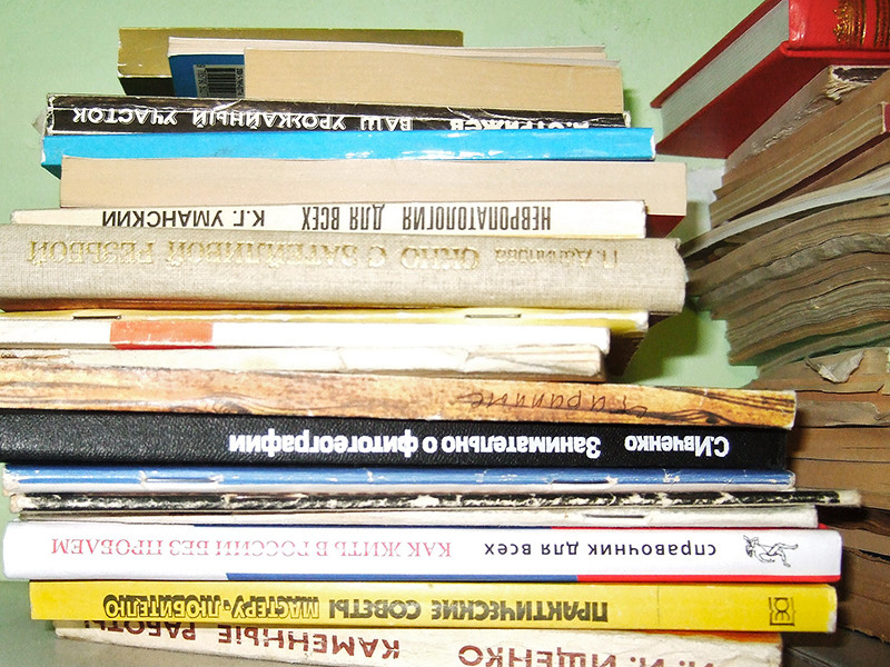 Тяжесть накопленных в книгах знаний поставила под угрозу проект "Книжный шкап" в Хабаровске. К огорчению энтузиастов буккроссинга уже второй уличный шкаф, установленный в краевом центре, остался без полок