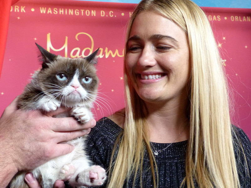 Звезда интернета "Сердитый кот" примет участие в бродвейском мюзикле "Кошки"