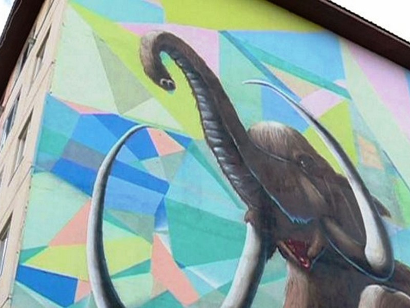 Уличные художники из разных городов создали шесть граффити на домах Салехарда