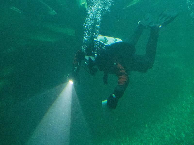 У берегов Флориды на дне Мексиканского залива открылся первый в США подводный музей