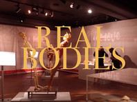 В Великобритании на выставке Real Bodies выставили части человеческих тел, которые могли принадлежать китайским диссидентам