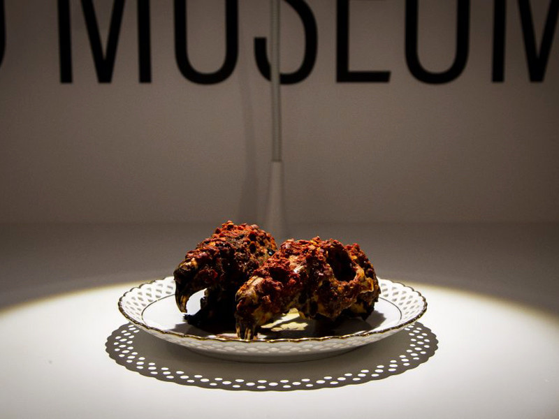 В Швеции откроют "Музей отвратительной еды" с жареными морскими свинками, бычьим пенисом и дурианом