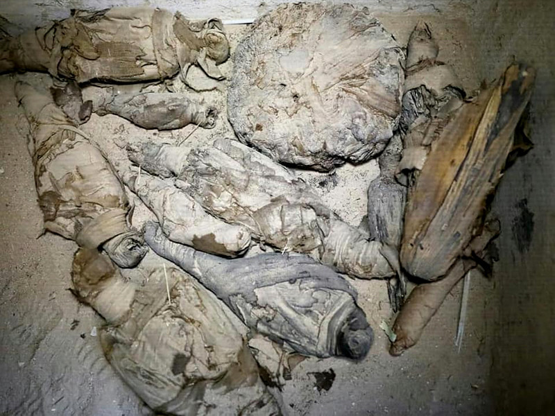 Гробница эпохи Птолемеев с хорошо сохранившимися настенными росписями и нетронутыми многочисленными мумиями животных обнаружена в провинции Сохаг на юге Египта