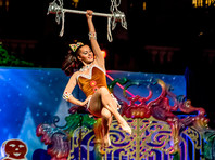 Cirque Du Soleil оказался на грани банкротства из-за отмены шоу в условиях пандемии