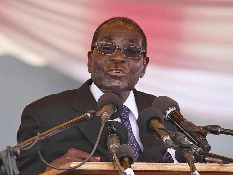 Главе государства Роберту Мугабе ставится в вину то, что он закрывает глаза на случаи похищения граждан и на пытки лиц, оказавшихся в руках спецслужб