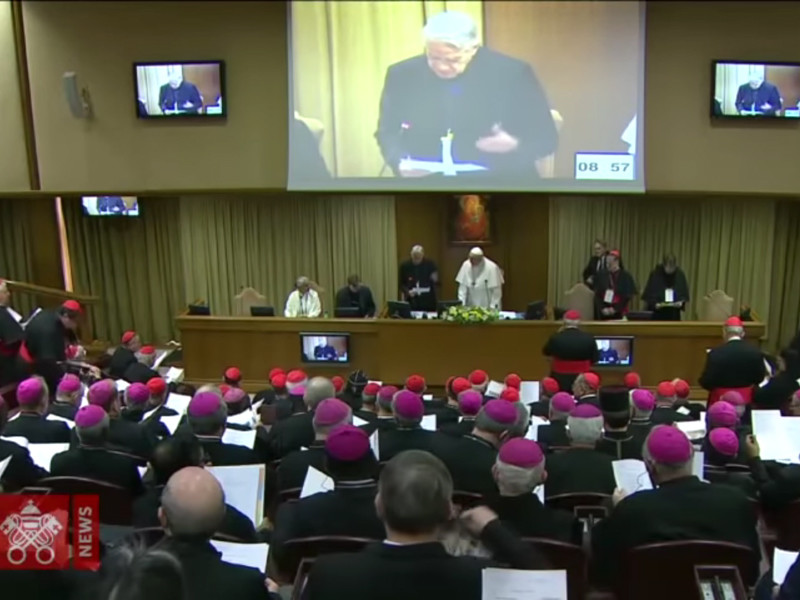 В Ватикане не видят связи проблемы педофилии среди священников с гомосексуализмом или целибатом