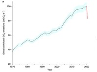 Из-за пандемии коронавируса выбросы углекислого газа упали до уровня 2006 года