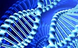Шаг на пути к нанороботам: ученые научились "вить веревки" из ДНК