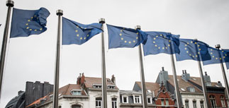 ЕС задумался о новых санкциях  после выборов  на востоке Украины, но они -  не "самоцель"  
