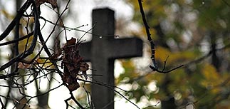 Крымский федеральный округ стал лидером по росту смертности