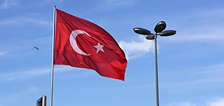 С подозреваемого в убийстве российского пилота в Сирии сняли все обвинения