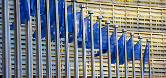 На Западе приветствовали освобождение Савченко