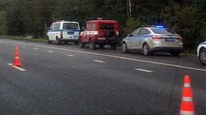 В ДТП с участием пьяного полицейского в Подмосковье погибла семья священника