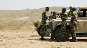 Армия Сенегала приготовилась к вторжению в Гамбию