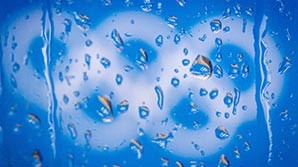 МОК аннулировал результаты еще пяти российских спортсменов на Играх-2014 в Сочи