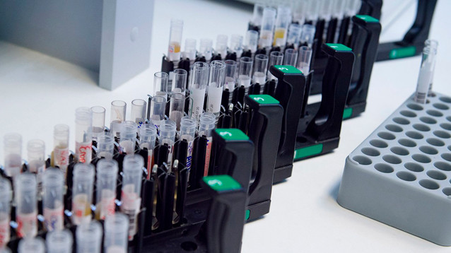 В России зарегистрировано шесть новых заболевших коронавирусом