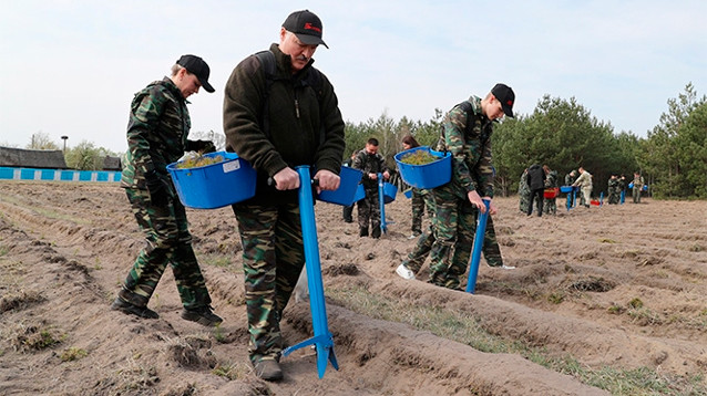 Лукашенко вывел на субботник 2,3 млн белорусов, чтобы умилостивить Бога, наславшего COVID