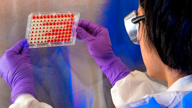 Всемирный русский собор призвал расследовать COVID-19 и  роль Билла Гейтса