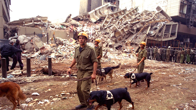 NYT: в Иране убили второго по важности человека в "Аль-Каиде"*, выдаваемого за профессора истории